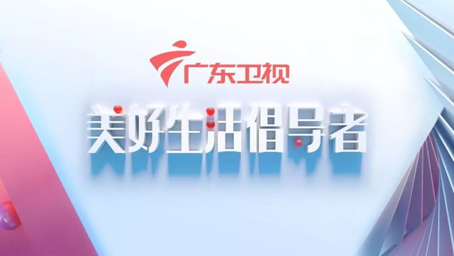 广东卫视信息有限公司