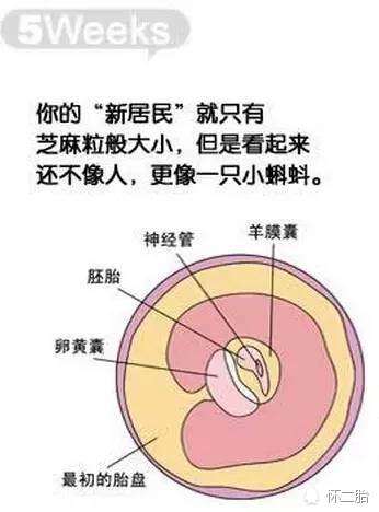 8个月了肚子隐隐作痛