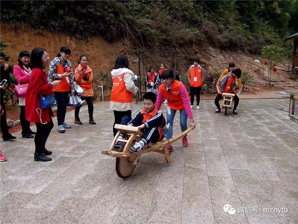 广东新大地有限公司