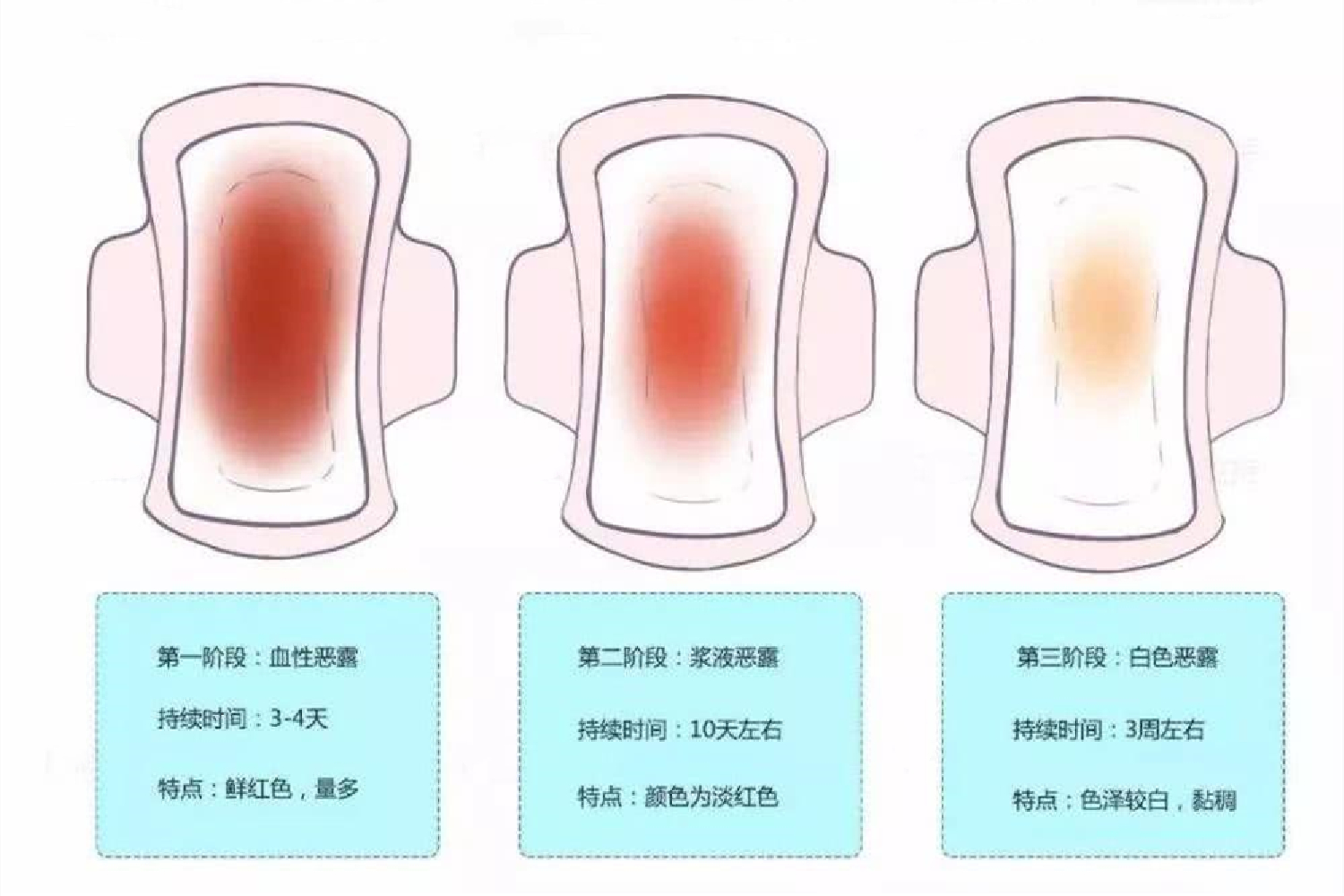 坐月子是来一个月月经