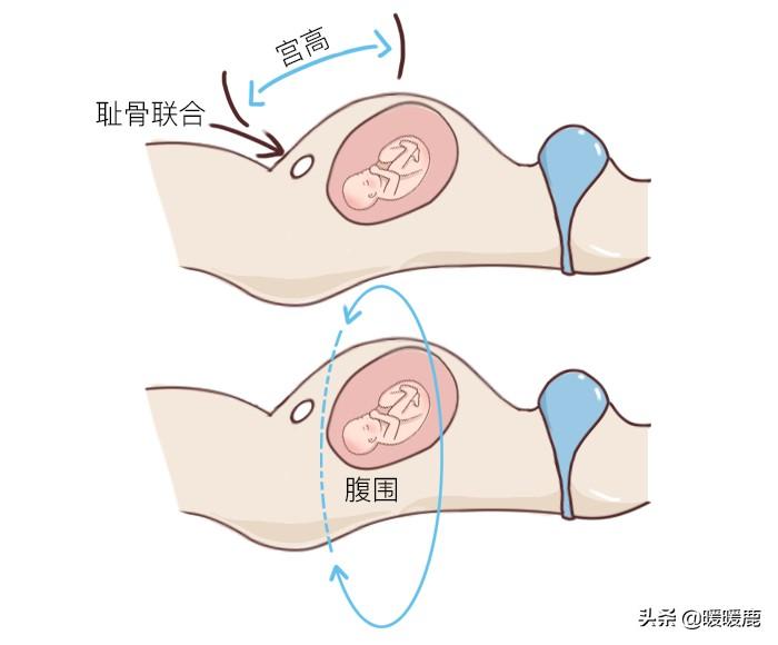 孕妇32周是几个月