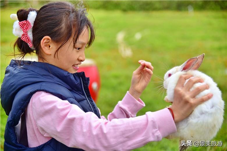 广东牛马有限公司