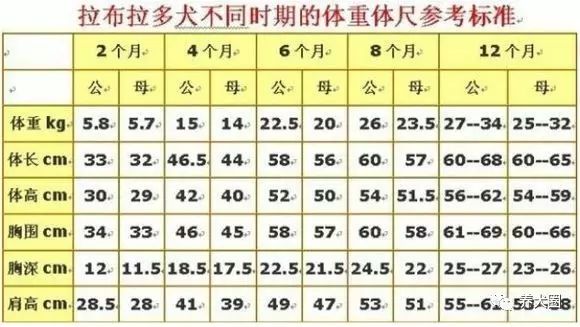 7个月身高体重