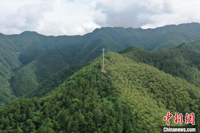 广东省森林资源